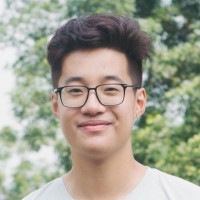 Anh Vu