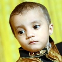 Shaid.Hussain Zaidi
