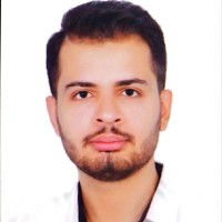 R. Reza Alipour