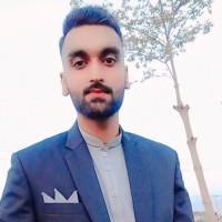 Muhammad Haris Saleem