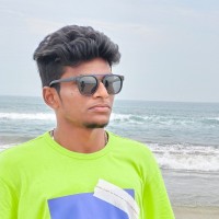 leo ramesh