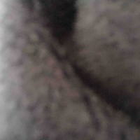 Gnu Mu