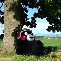 Kumamon Gu