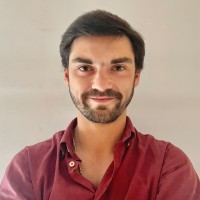 Dinis Brito E Faro