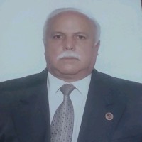 Luis Alayón