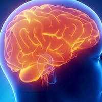 Neuro Technology