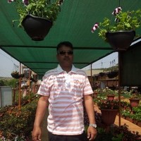 Ehsan Ahmad Ansari