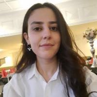 Seda Nur Şirin