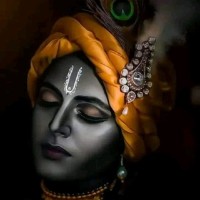 V Gopi Krishna