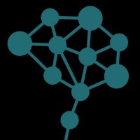 Brain Consulting Services