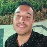 Hossam T.Abdallah