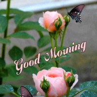 Shishram Ram
