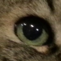 R M