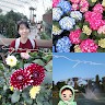 Lily Seowon Oh