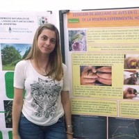 Constanza Benintende