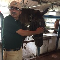 Punit Yadav