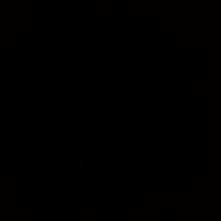 Clarice Rech Costantin