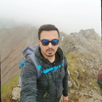 Syed hammad mehmood zaidi