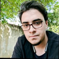 Raphael Henrique de Almeida Silva