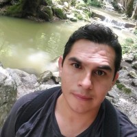 Arturo Herrera