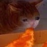 STUBBED TOE