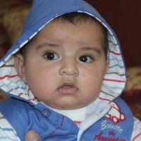 Warsi M