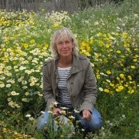 Hilde Blom