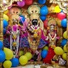 Ankit Adhiya