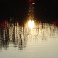 Lynne Baker