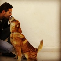 Mario Nieto Astorga