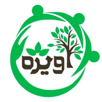 Avije Psychology