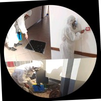 Stl 3D Expert Company