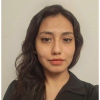 Liz Castañeda Ramirez