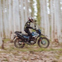 Mohammed Hassan Elyas