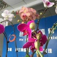梁武林