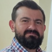 Alin Liteanu