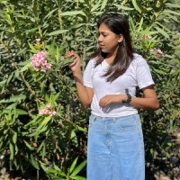 Anitha K Devasia
