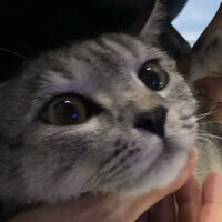 龙佳茜