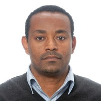 Tsegaye T Gatiso