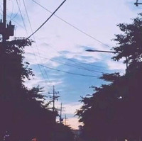 何小西