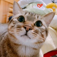 Emon Chen