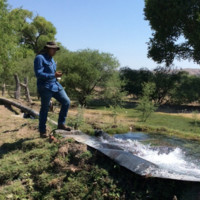 Alejandro Rodríguez Pérez