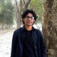 Pritesh Ranjan Dash, Ph.D