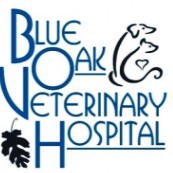 Blue Oak