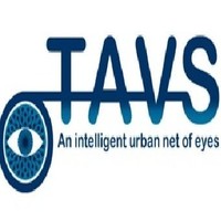 Town-Eye Artificial Vision Solutions