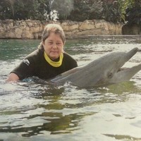 Pam Hart