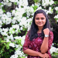 Shreenidhi Vijay