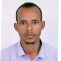 Melsie Tadesse