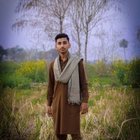 Muhammad Hammad Raza