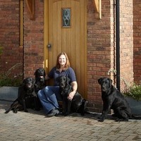 sarah wall